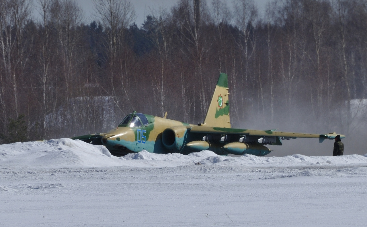 143473_102502502_SU-25-BL02-TURCMAF-2012-KUBINKA.jpeg