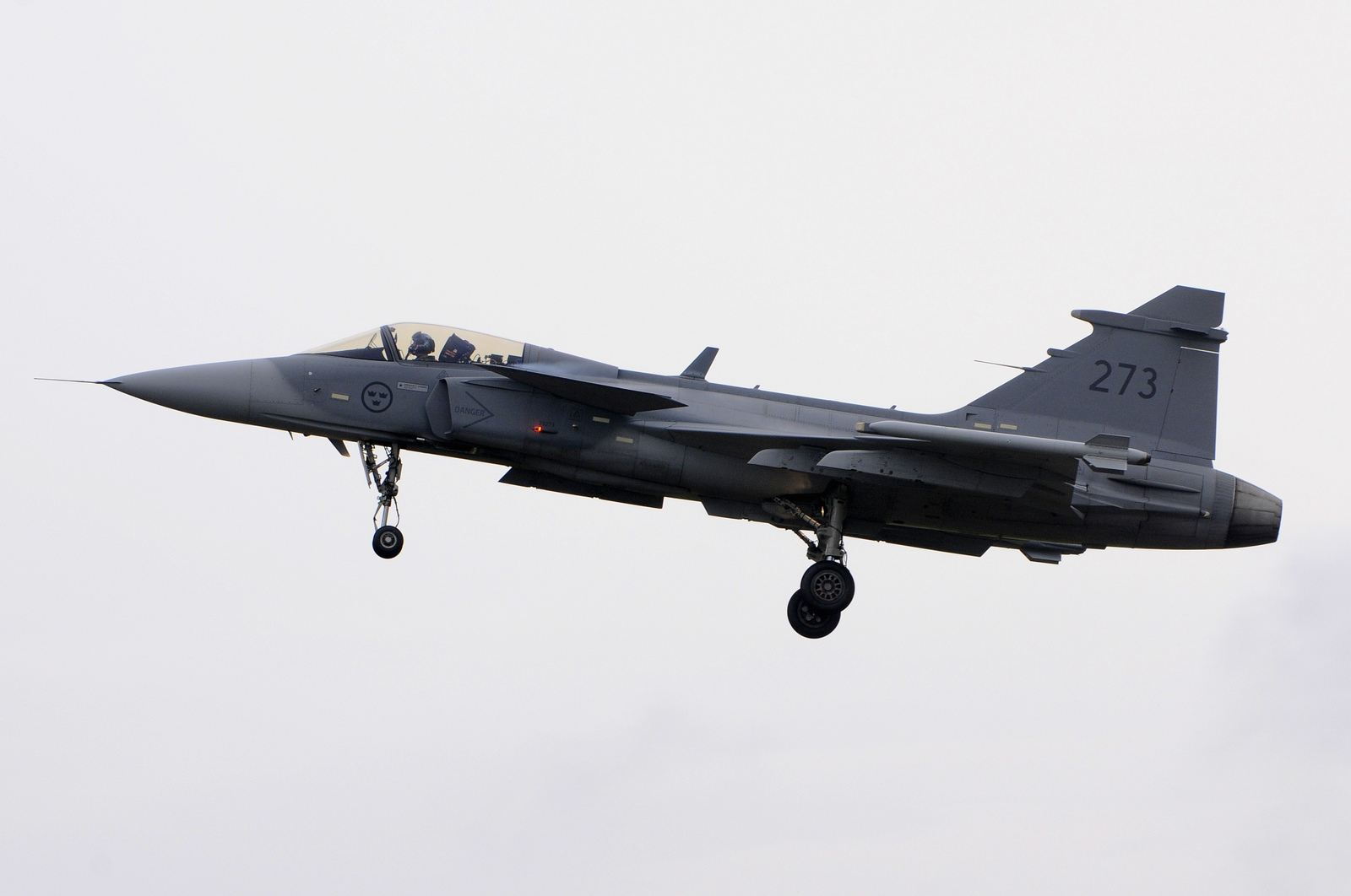 143473_134193842_01-01RIAT2012-FAN1.jpg