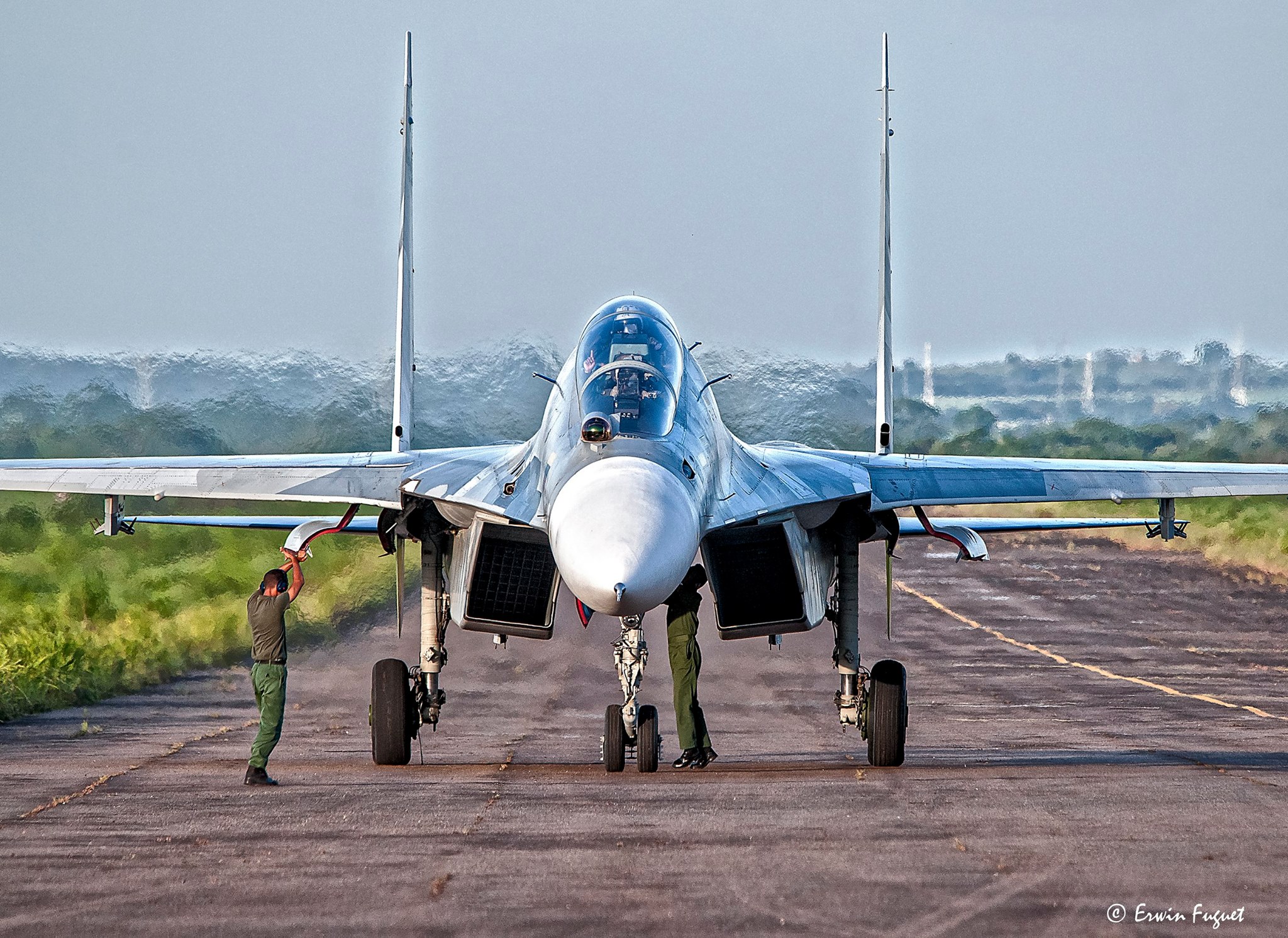 Су 30см фото крупным планом