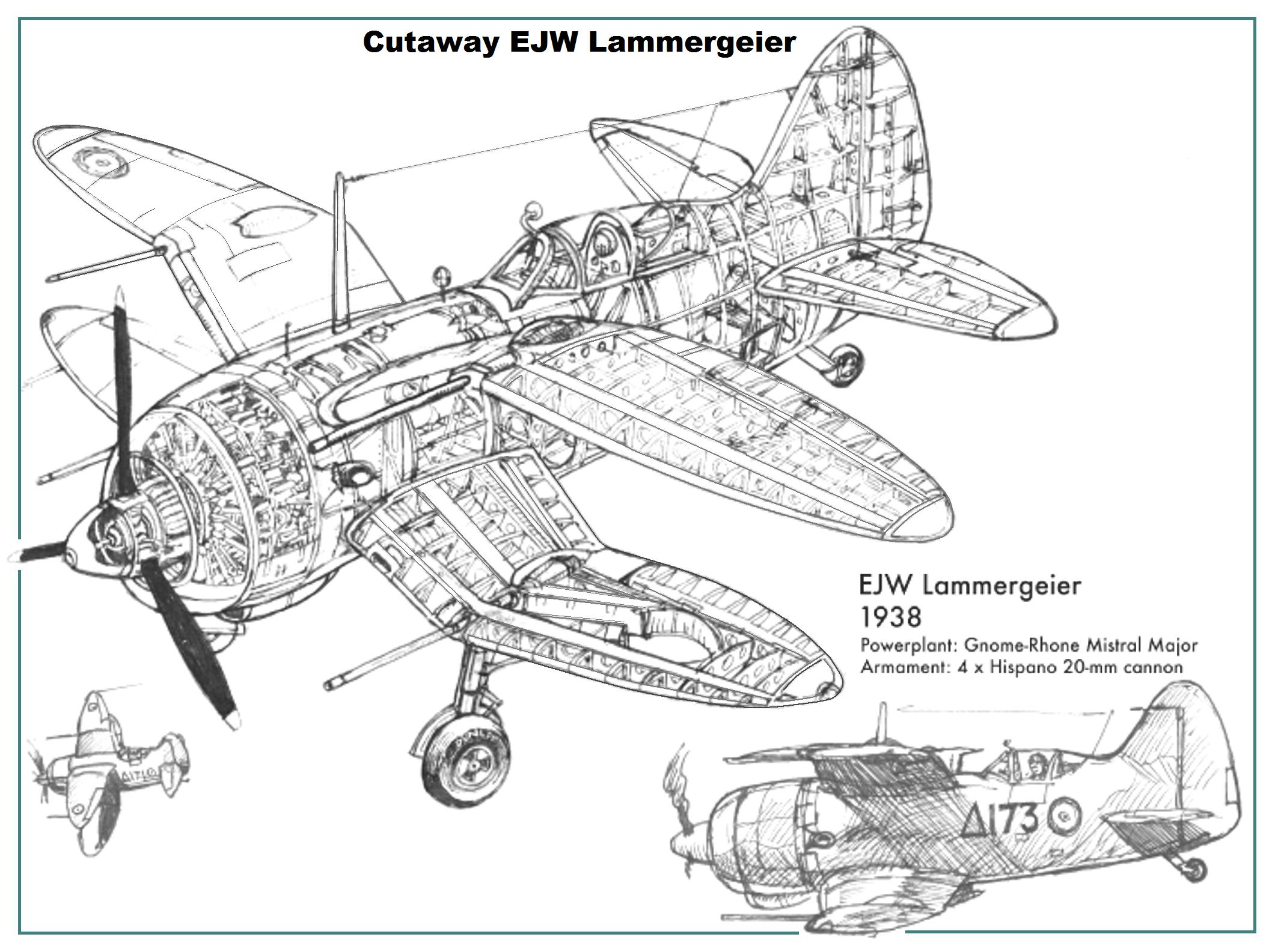 164157_123882313_Cutaway-Lammergeier-1.jpg
