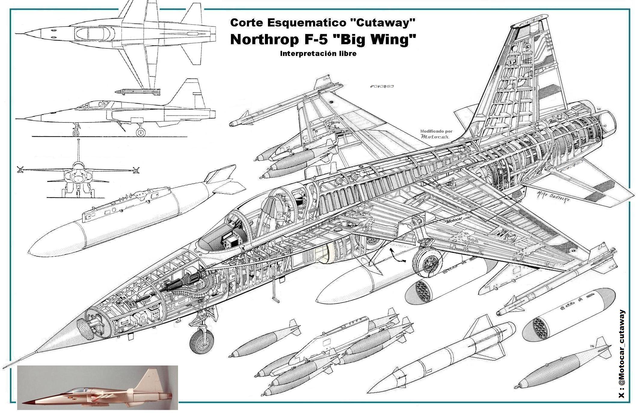164157_125796403_Cutaway%20Northrop%20F-5%20Big%20Wing.jpg