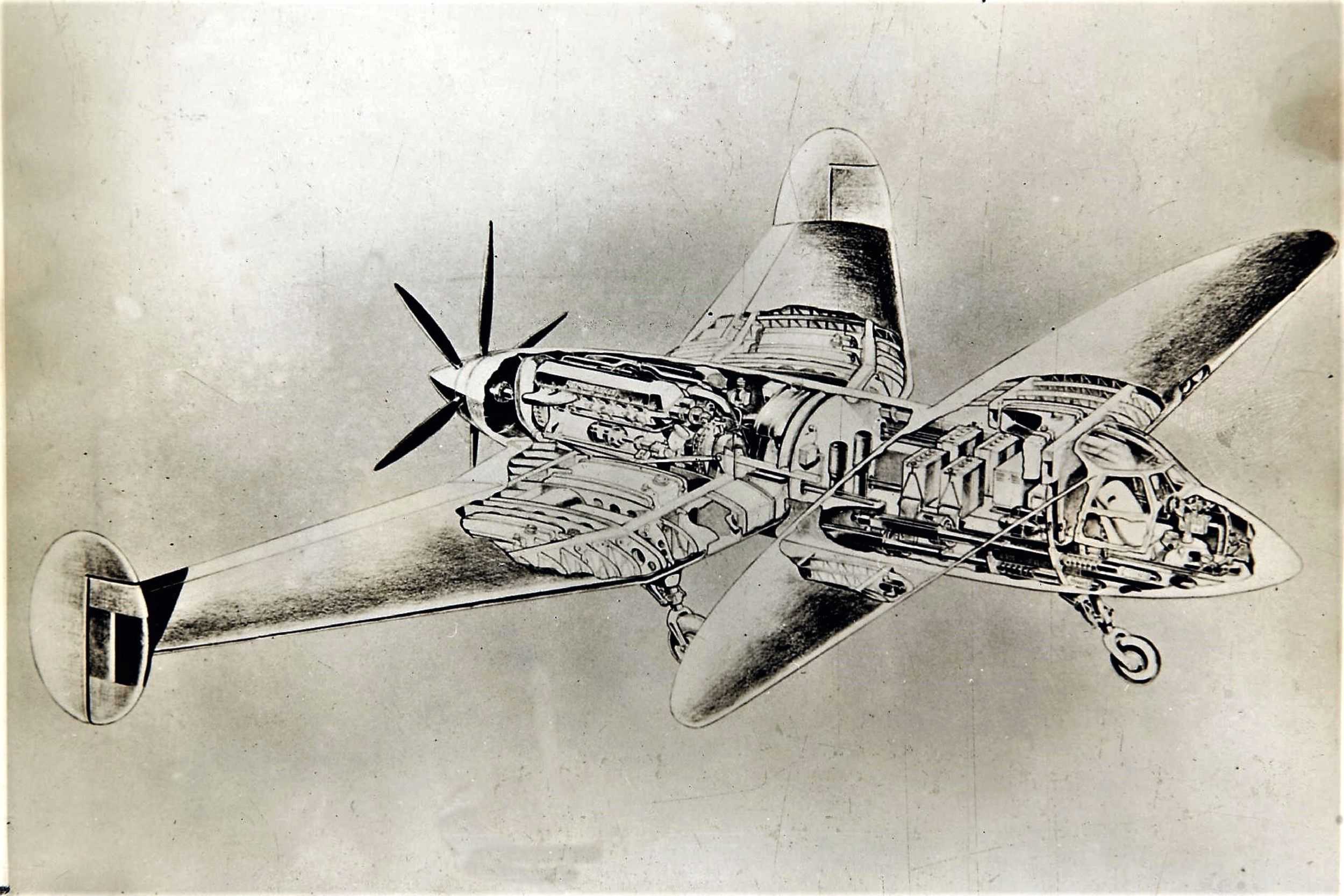 164157_156846870_Cutaway%20Libelula.jpg
