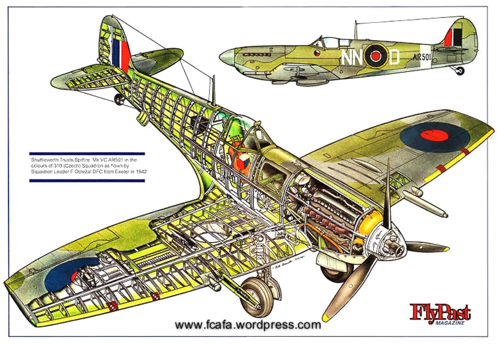 164157_217910434_Cutaway%20Supermarine%20Spitfire%20corta%20envergadura.jpg