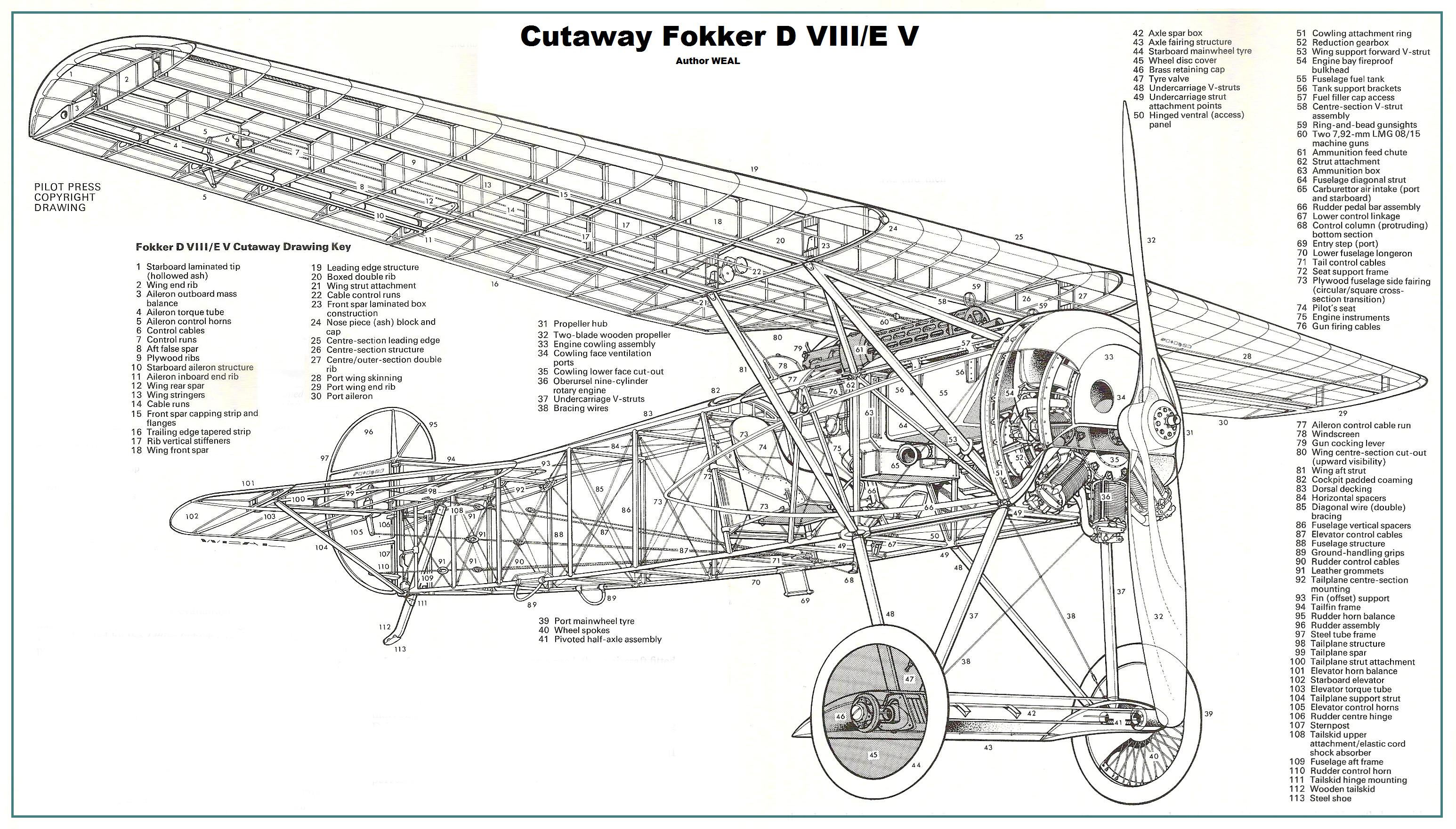 164157_70673888_Cutaway%20Fokker%20D%20VIII%20Weal.JPG